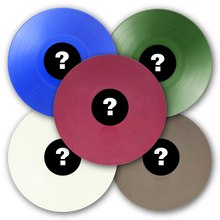 Load image into Gallery viewer, Punkerton Records Vinyl Bundles