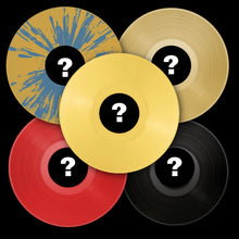 Load image into Gallery viewer, Punkerton Records Vinyl Bundles